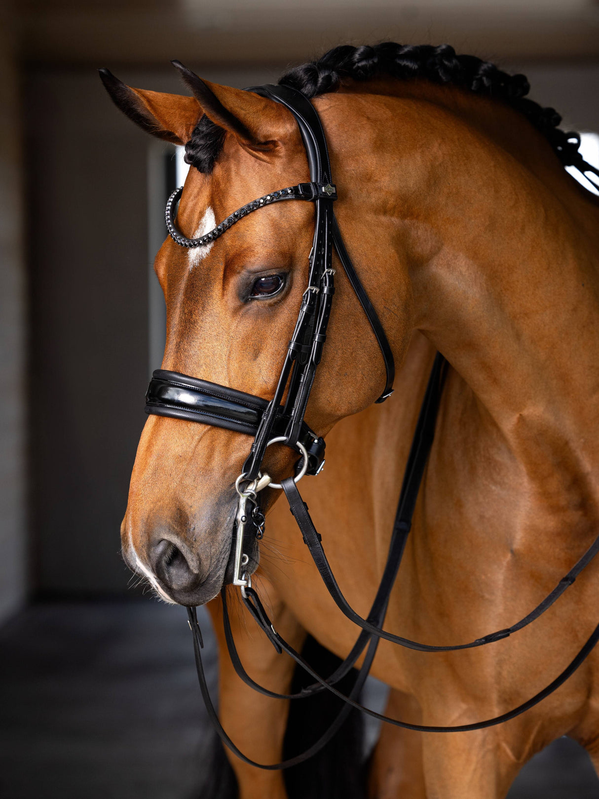 LeMieux Kudos Patent Double Bridle