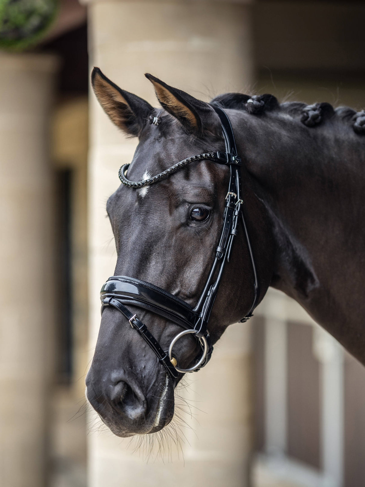 LeMieux Kudos Patent Dressage Bridle