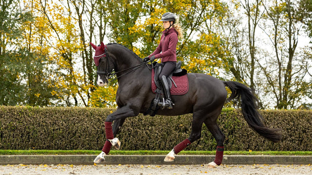 LeMieux Crystal Suede Dressage Saddle Pad Burgundy