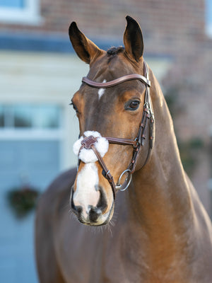 LeMieux Arika Grackle Bridle