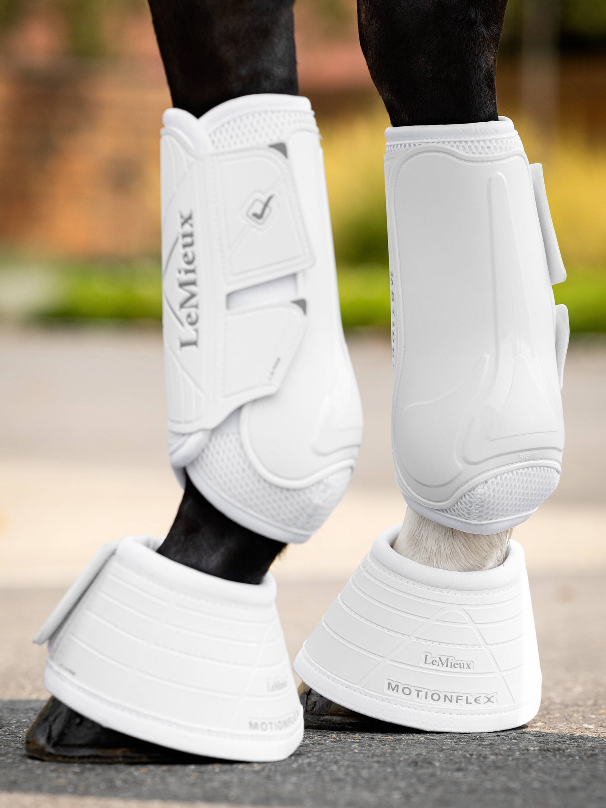 LeMieux Motionflex Dressage Boots White