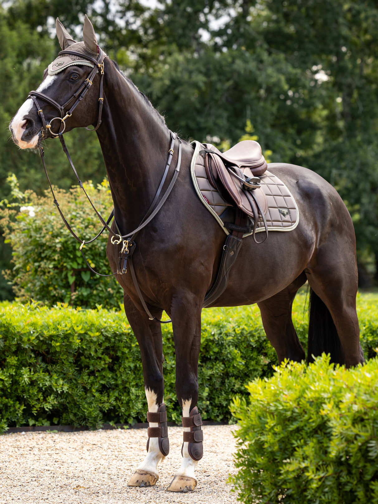 LeMieux Loire Classic Close Contact Jump Square Saddle Pad Walnut