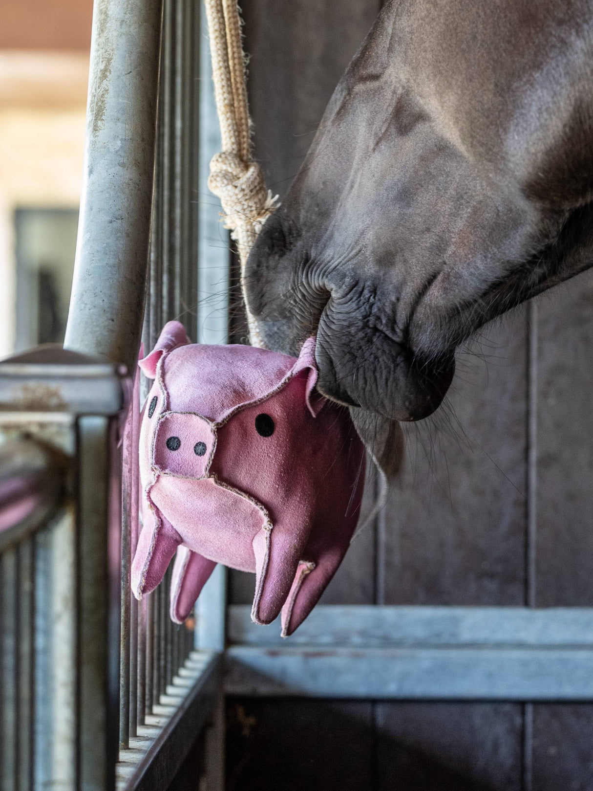 LeMieux Horse Toy Flying Pig