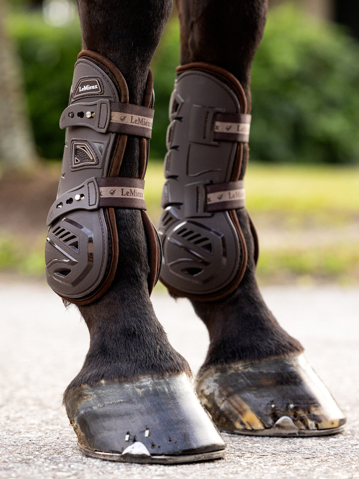 LeMieux Motion Cool Tendon Boot Brown