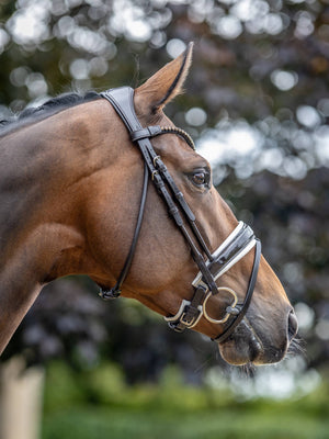 LeMieux Kudos Patent Dressage Bridle