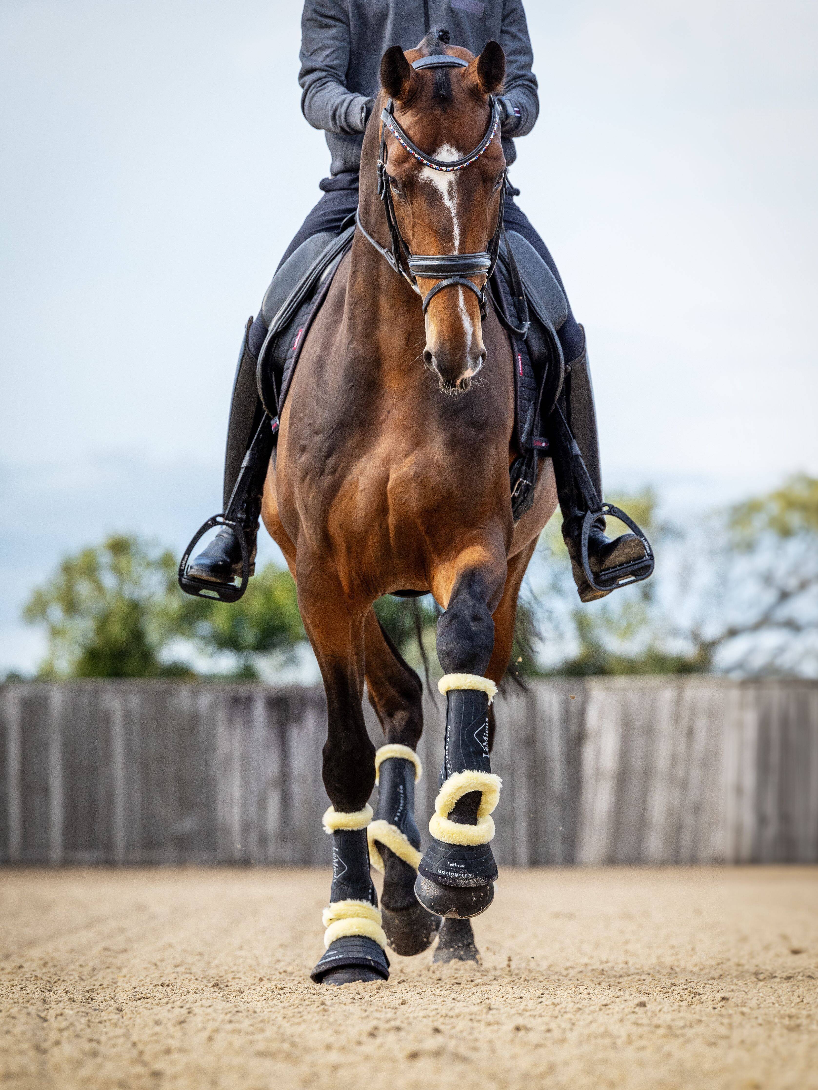 Le mieux dressage boots best sale