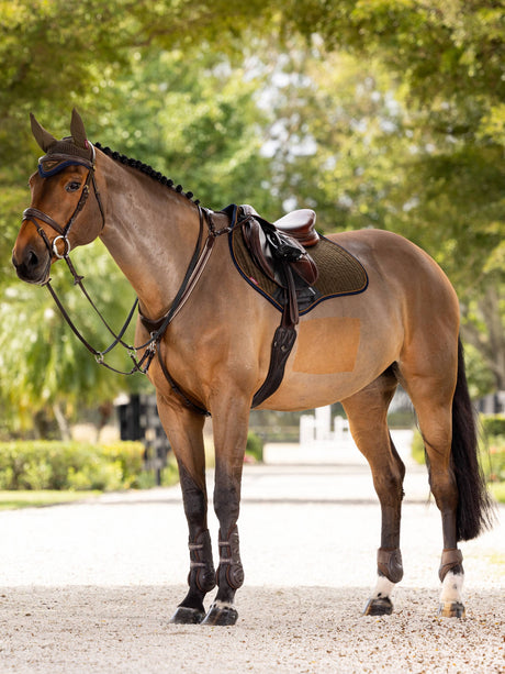 LeMieux Suede Close Contact Jump Saddle Pad Alpine