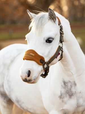 LeMieux Mini Vogue Headcollar & Leadrope Alpine