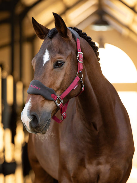 LeMieux Vogue Headcollar & Leadrope Ember