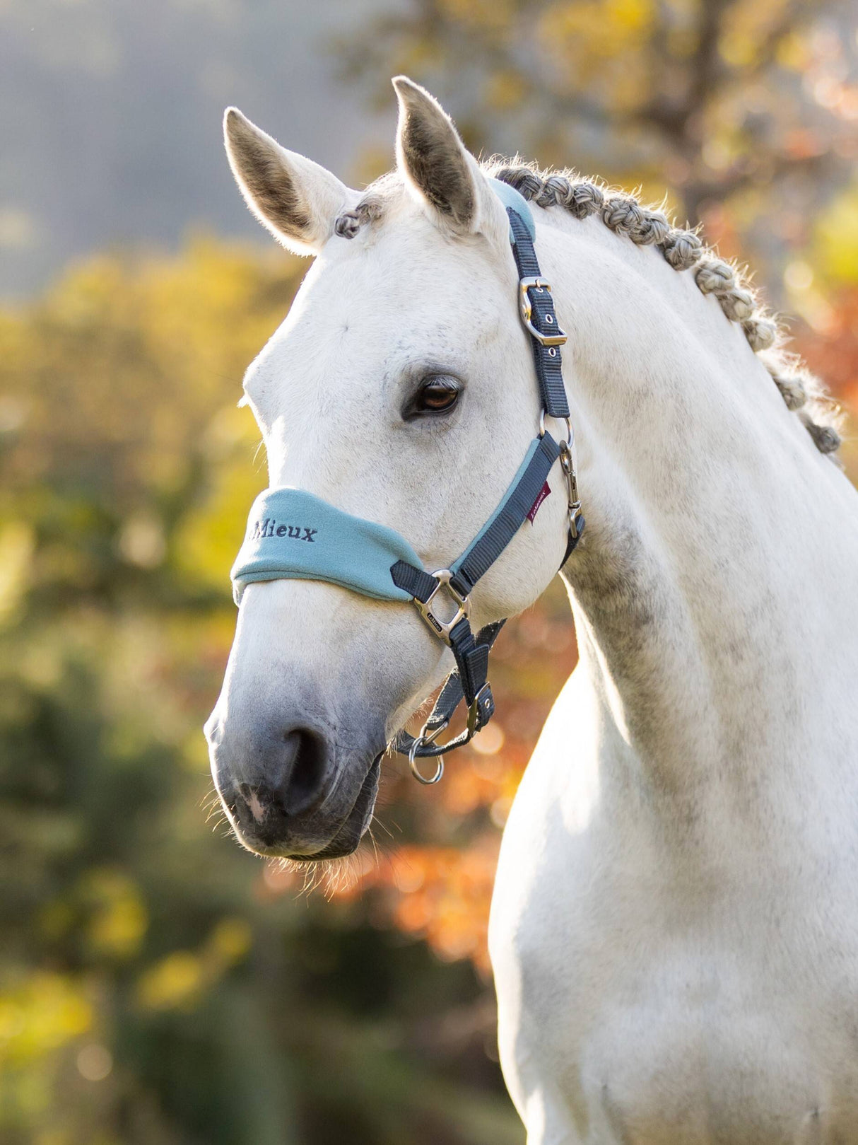 LeMieux Vogue Headcollar & Leadrope Petrol