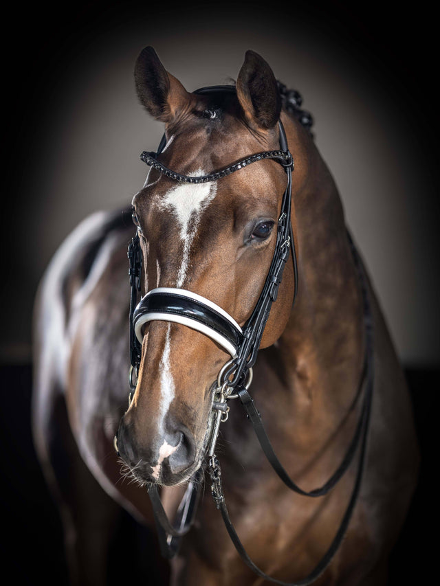 LeMieux Kudos Patent Double Bridle