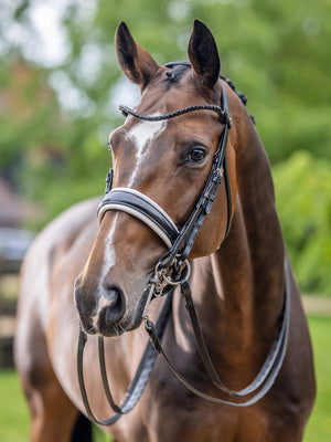 LeMieux Kudos Patent Double Bridle