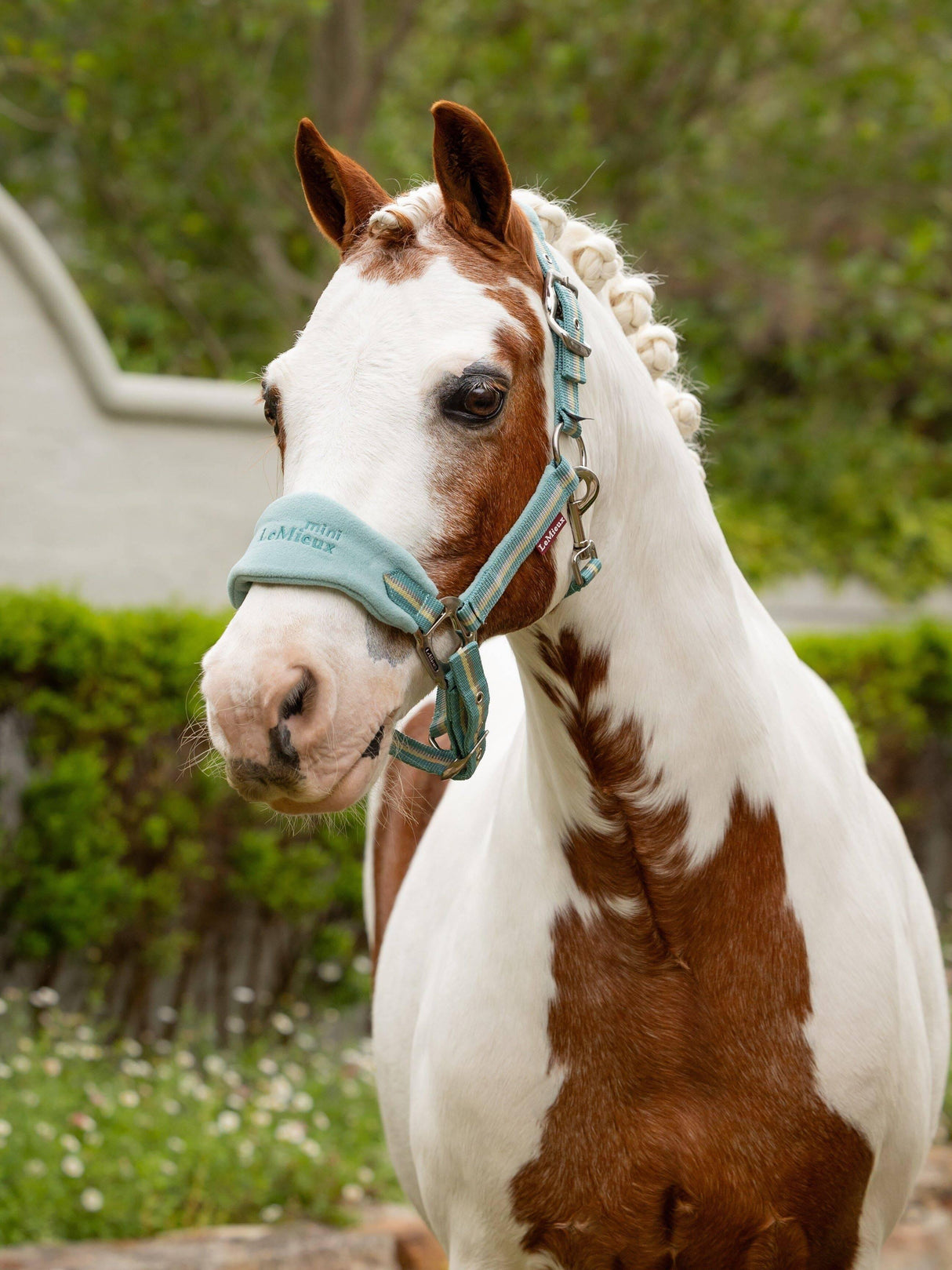 LeMieux Mini Vogue Headcollar & Leadrope Aqua