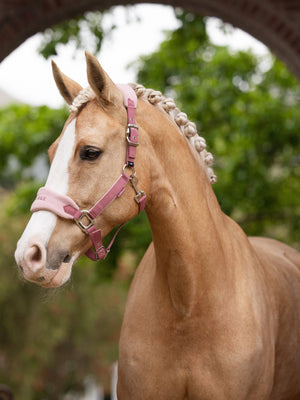 LeMieux Vogue Headcollar & Leadrope Blossom