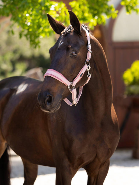 LeMieux Versailles Headcollar Blossom