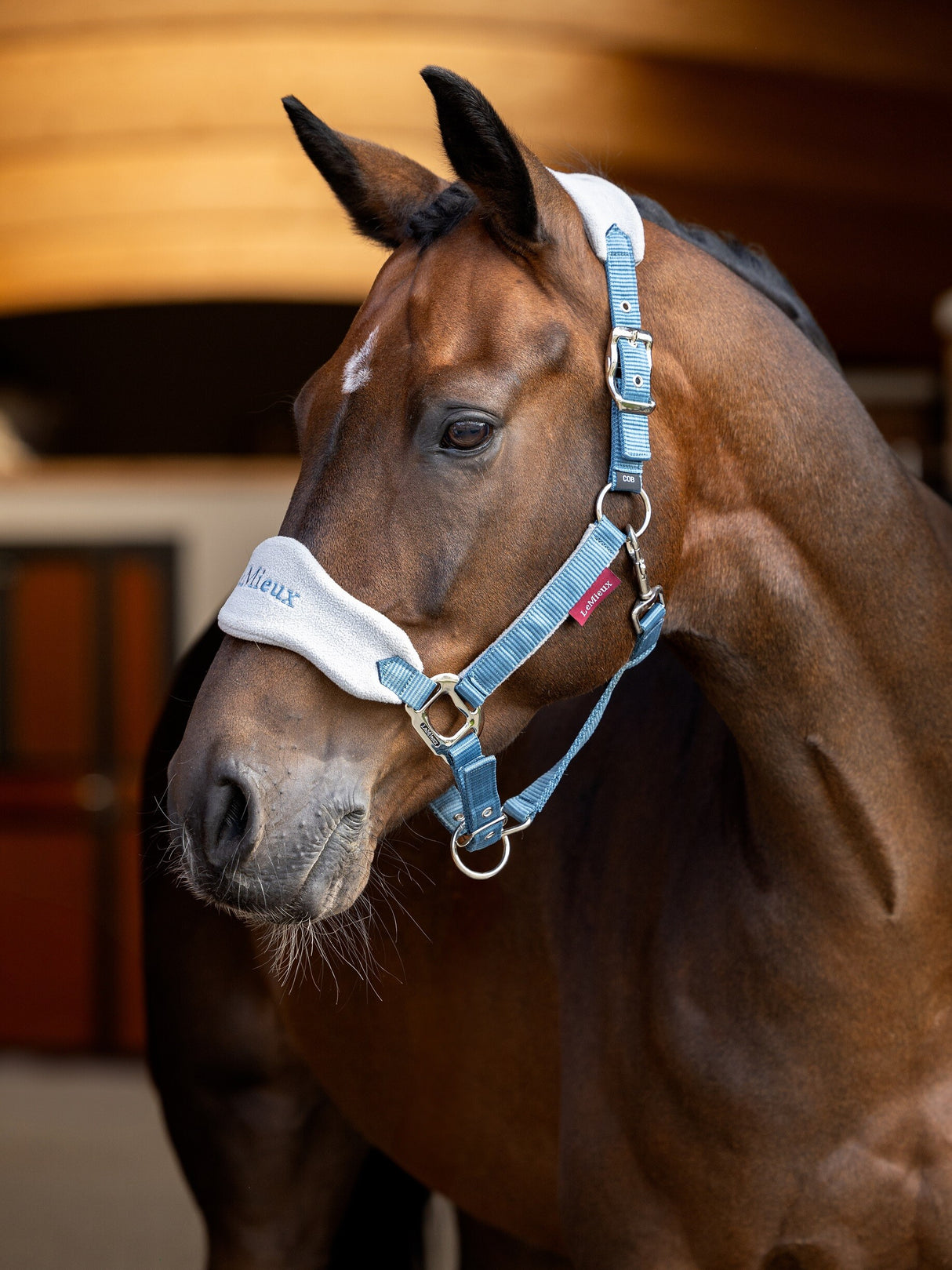 LeMieux Vogue Headcollar & Leadrope Ice Blue