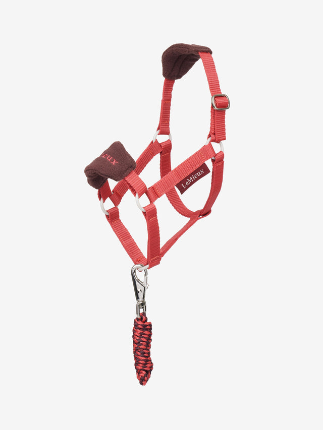 LeMieux Hobby Horse Gift Set Cranberry