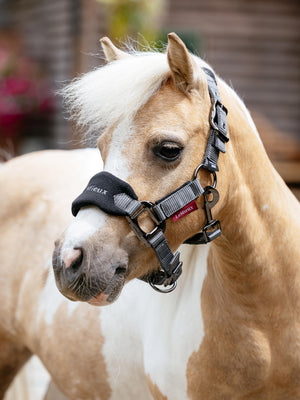 LeMieux Mini Vogue Headcollar & Leadrope Black