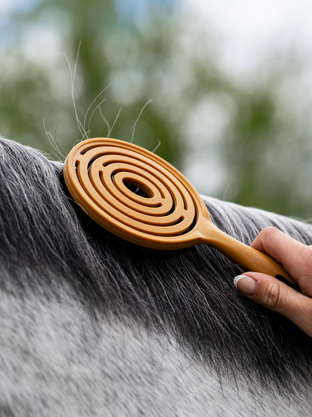 Epona Queen's Mane & Tail Brush