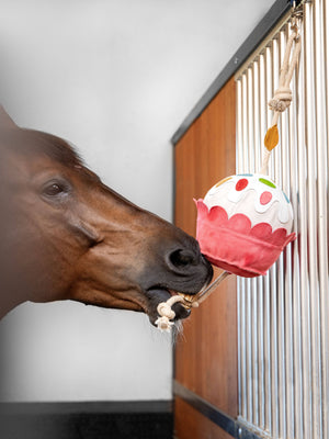 LeMieux Horse Toy Cupcake
