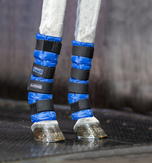 LeMieux Artic Ice Boots Blue