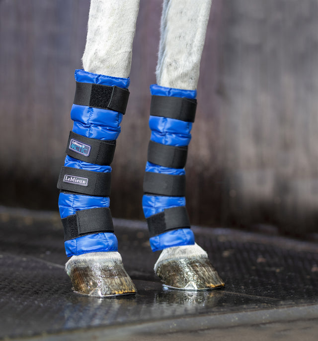 LeMieux Artic Ice Boots Blue