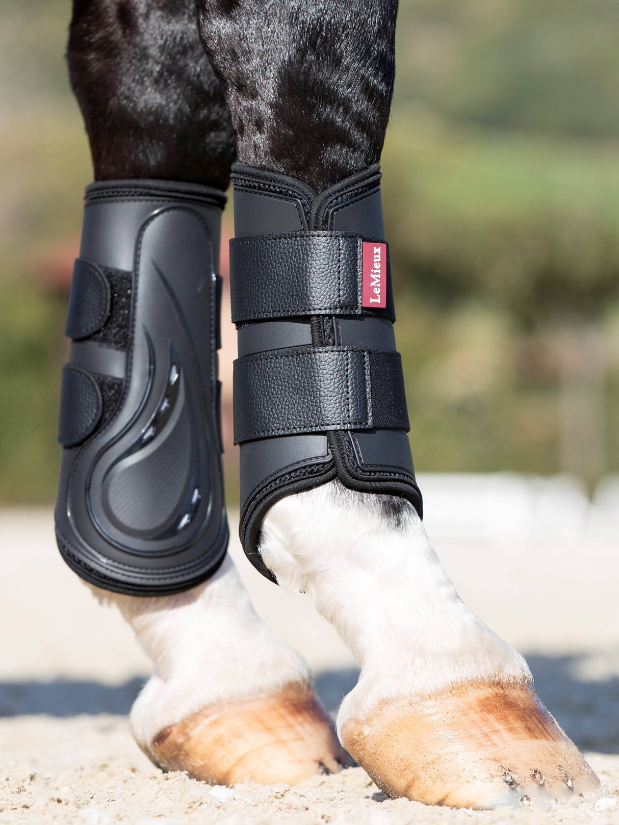 LeMieux ProShell Brushing Boots Black