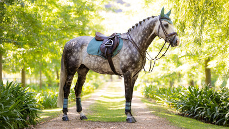 LeMieux Suede Close Contact Square Jump Saddle Pad Sage