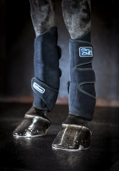 LeMieux Tendon Chill Boots