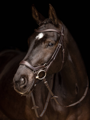 LeMieux Arika Drop Bridle