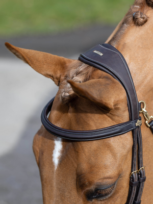 LeMieux Kudos Work Bridle