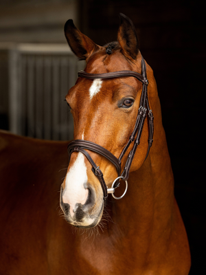 LeMieux Arika Flash Bridle