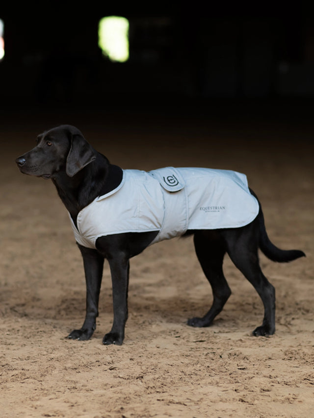 Equestrian Stockholm Reflective Dog Rug Luminous Black