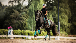 LeMieux Loire Memory Dressage Square Saddle Pad Peacock