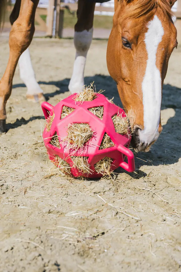 Kentucky Relax Horse Play & Hay Ball Pink