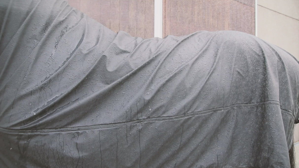 Kentucky Hurricane Rain Coat Rug Grey