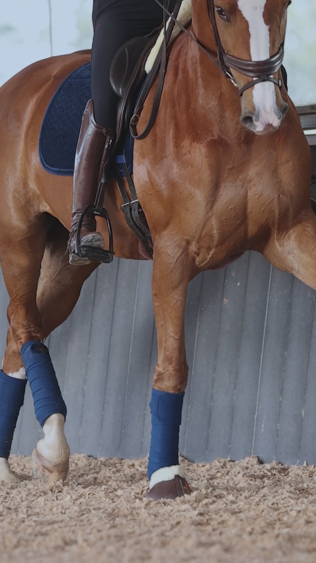 Kentucky Velvet Skin Friendly Dressage Saddle Pad Navy
