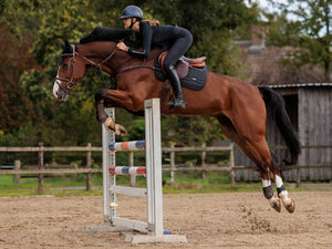 Equestrian Stockholm Jump Saddle Pad Sportive Black