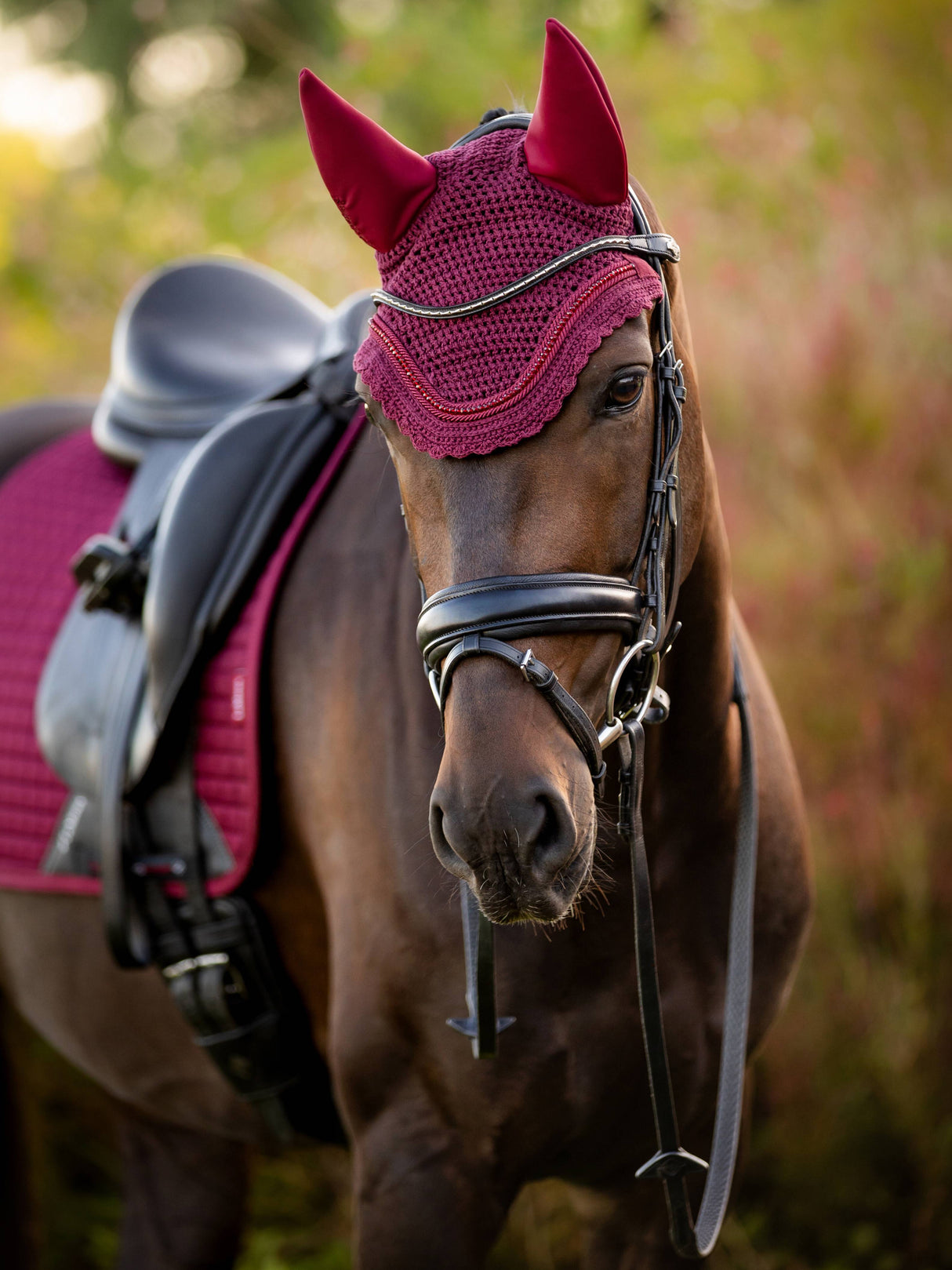 LeMieux Acoustic Diamante Ear Bonnet Burgundy