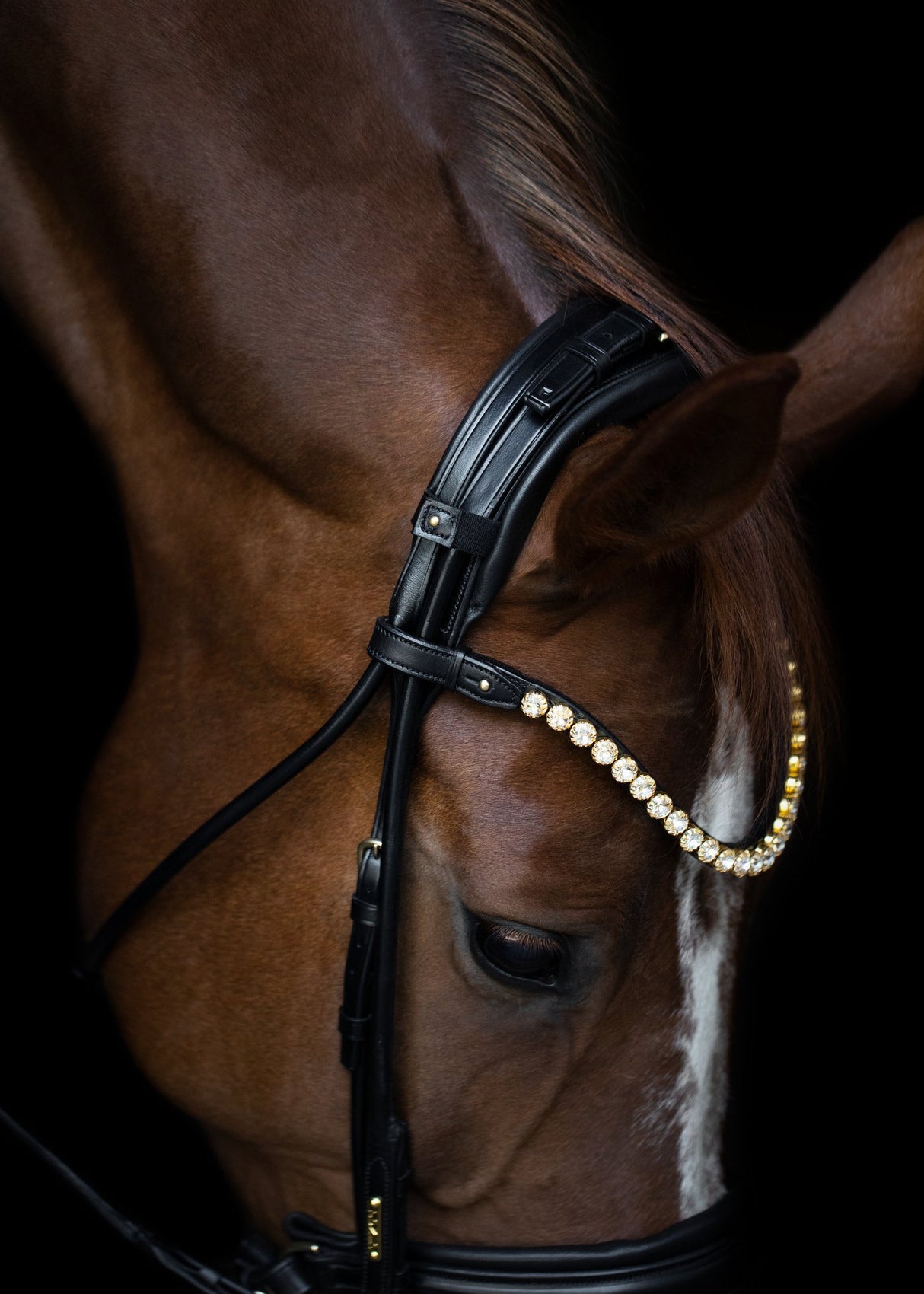 Utzon Equestrian Edinburgh Bridle