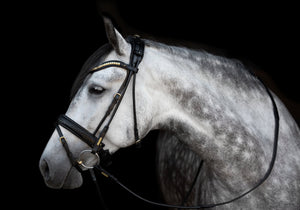 Utzon Equestrian Olympic Bridle