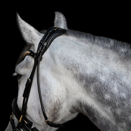Utzon Equestrian Olympic Bridle