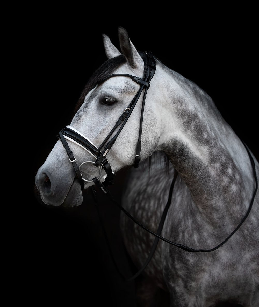 Utzon Equestrian Edinburgh Bridle