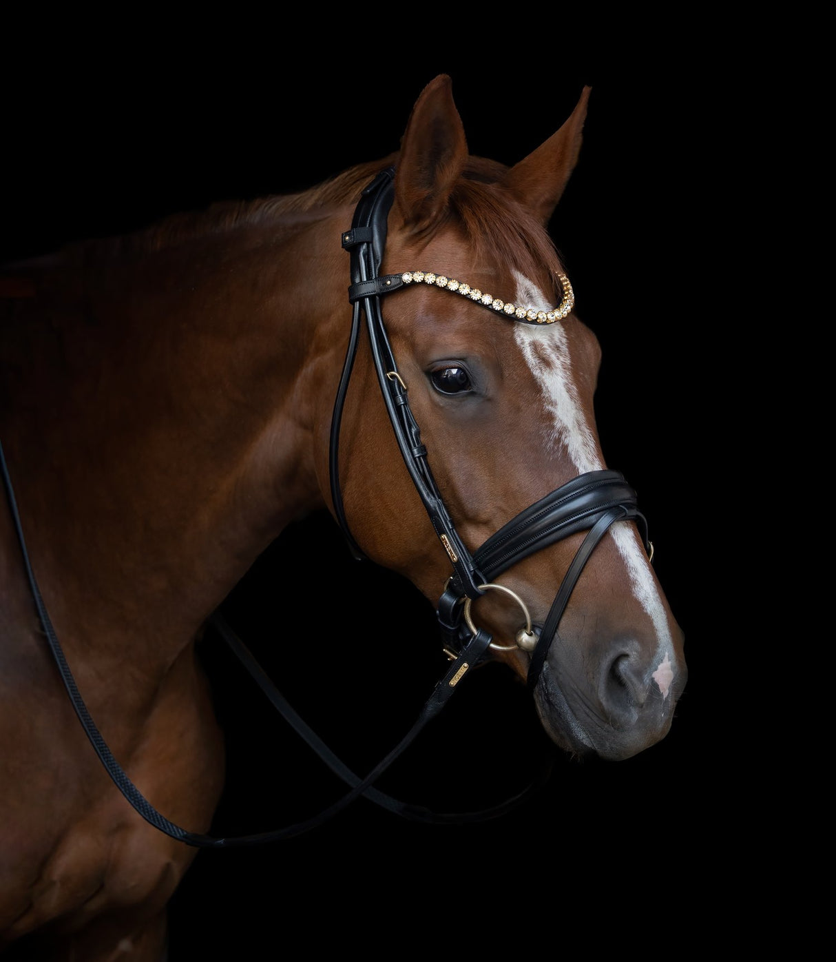 Utzon Equestrian Edinburgh Bridle