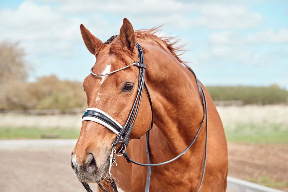 Finesse Cassidy Double Bridle