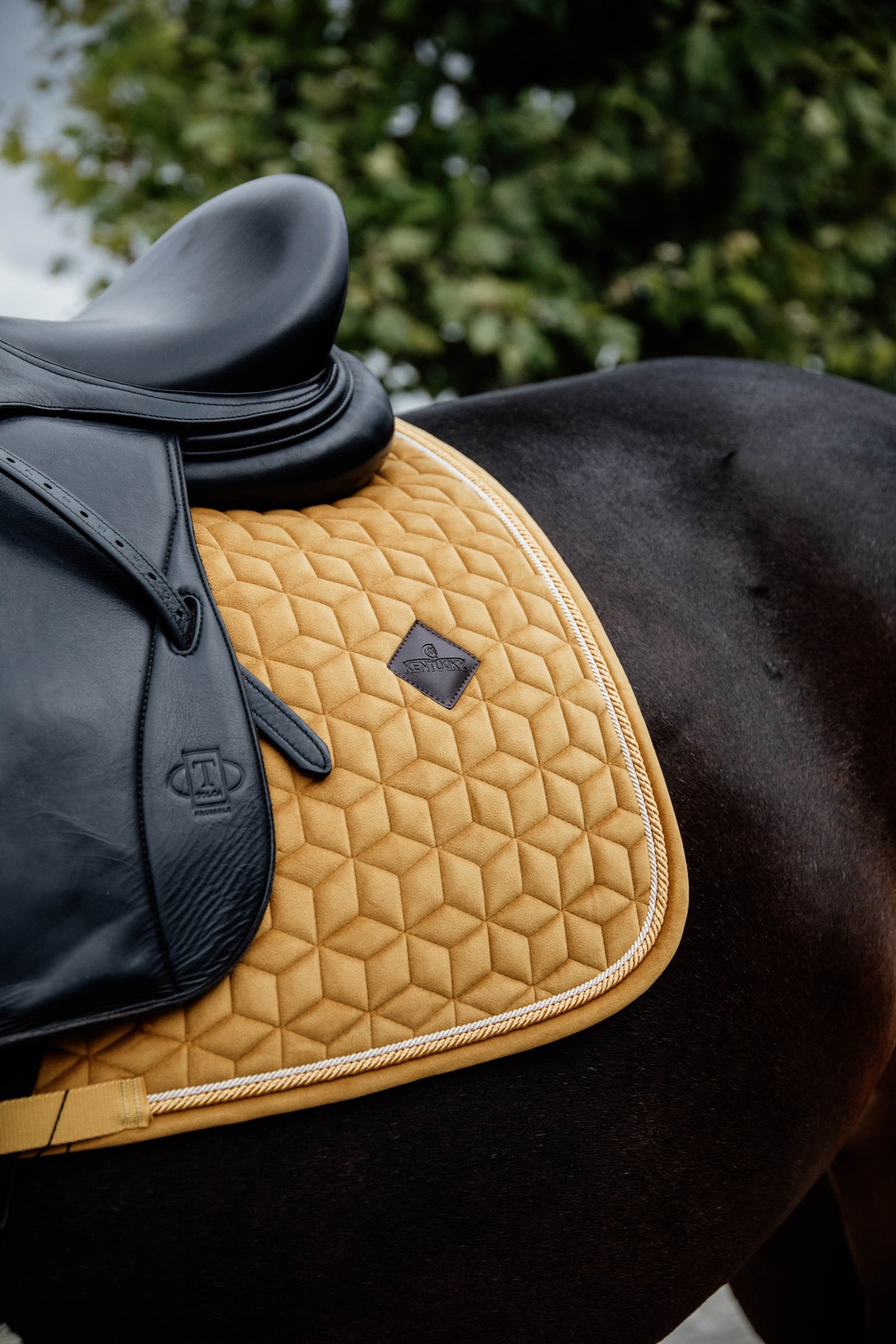 Kentucky Velvet Dressage Saddle Pad Mustard