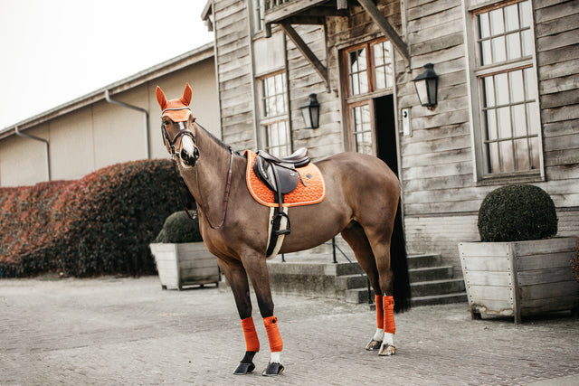 Kentucky Velvet Jump Saddle Pad Orange