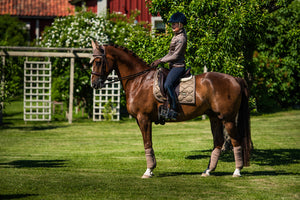 Equestrian Stockholm Dressage Saddle Pad Champagne