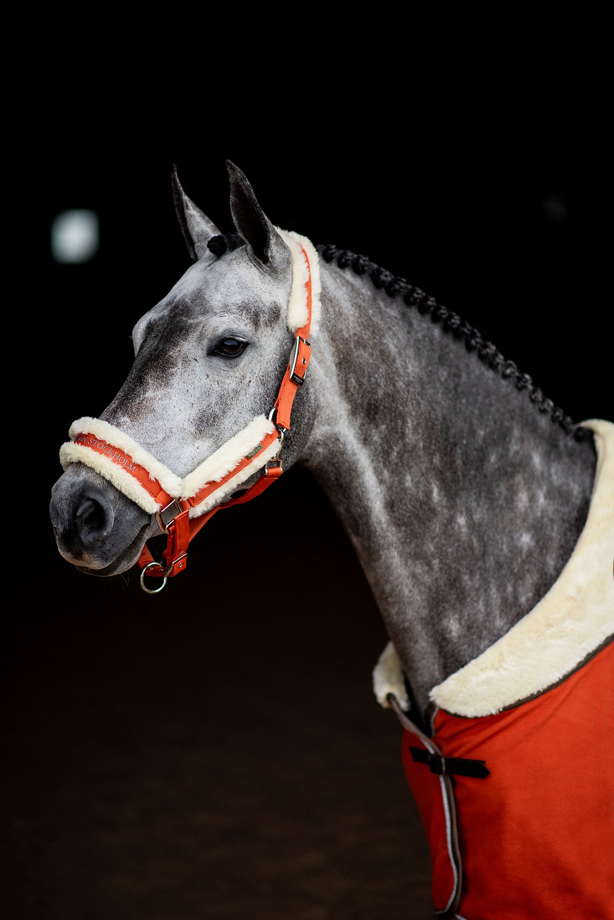 Equestrian Stockholm Fleece Headcollar & Lead Brick Orange