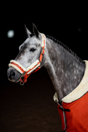 Equestrian Stockholm Fleece Headcollar & Lead Brick Orange